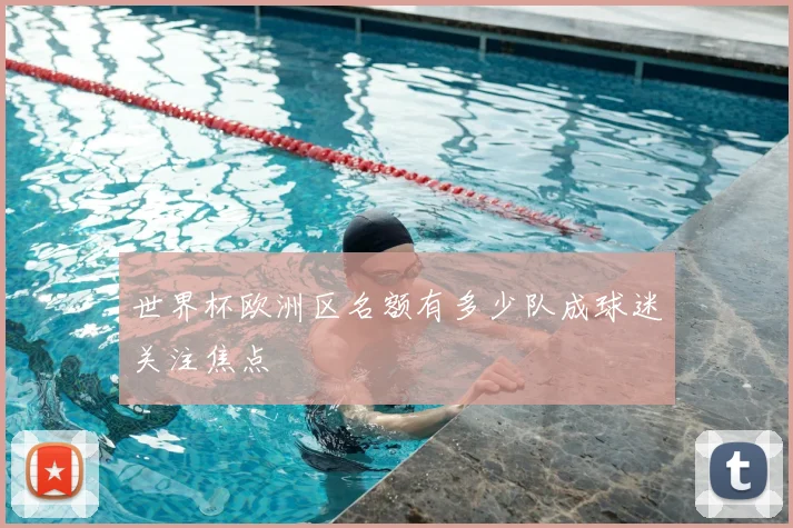 世界杯欧洲区名额有多少队成球迷关注焦点