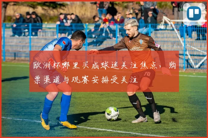 欧洲杯哪里买成球迷关注焦点，购票渠道与观赛安排受关注