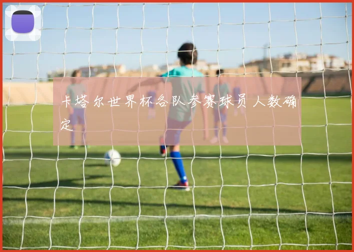 卡塔尔世界杯各队参赛球员人数确定