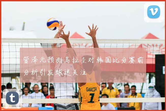 管泽元预测乌拉圭对韩国比分赛前分析引发球迷关注